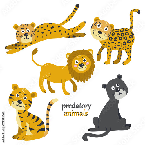 Vector set of predatory animals.