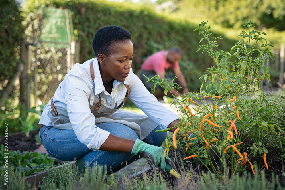 © Rido - African woman grows plants in the garden © Rido - African woman grows plants in the garden