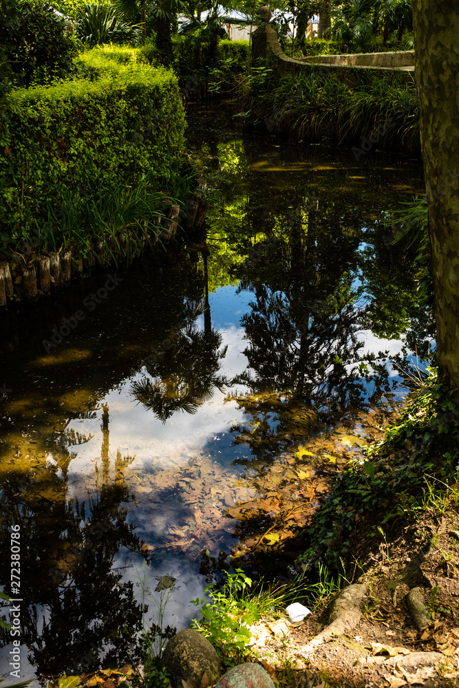 Obraz premium Quiet river stream water reflection on a rain forest with trees and transparent water