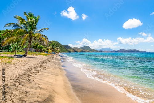 White sandy beach with palm tree in Saint Kitts, Caribbean.