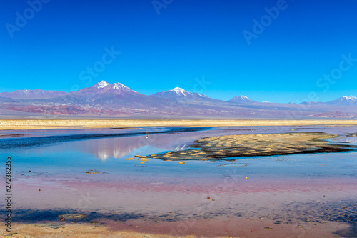 The Chaxa Lagoon : part of the Los Flamencos National Reserve, placed in the middle of the Salar de Atacama, Chile