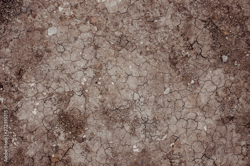 texture of old wall