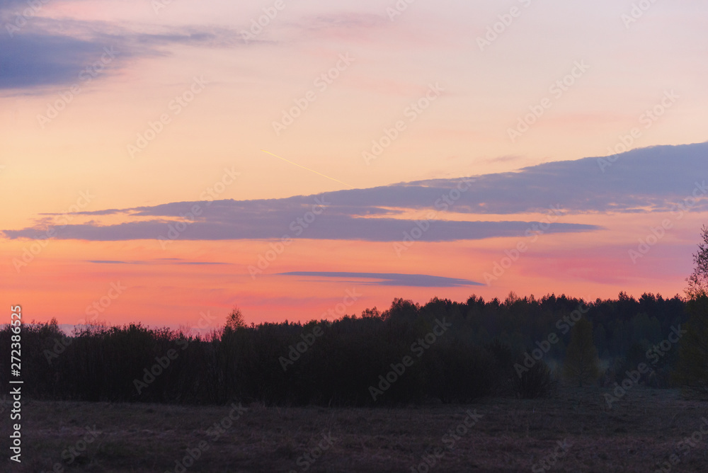 Morning scarlet dawn on the edge of the forest in the spring