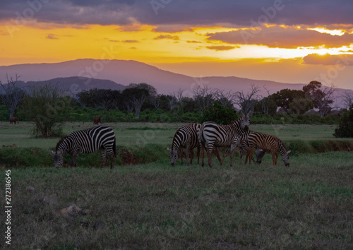 Landscape of Tsavo East National Park  Kenya