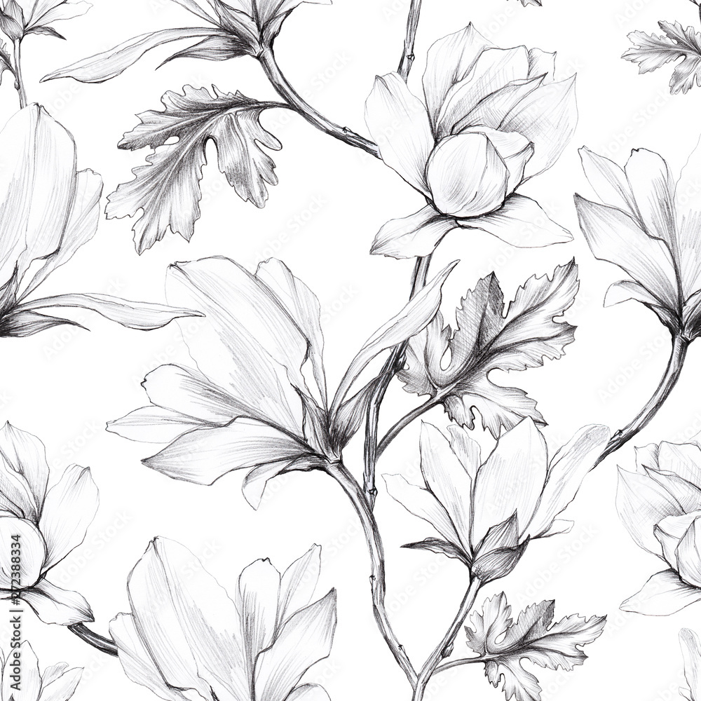 White Magnolia flower and leaves painted with black pencil in vintage graphic style on white seamless background, Wallpaper, textiles, wrapping paper