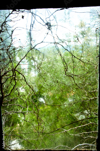 photo of the window to the nature photo