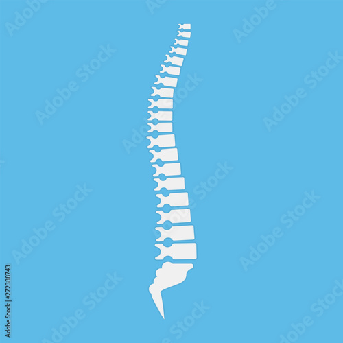 Backbone icon  human spine template. Vector illustration