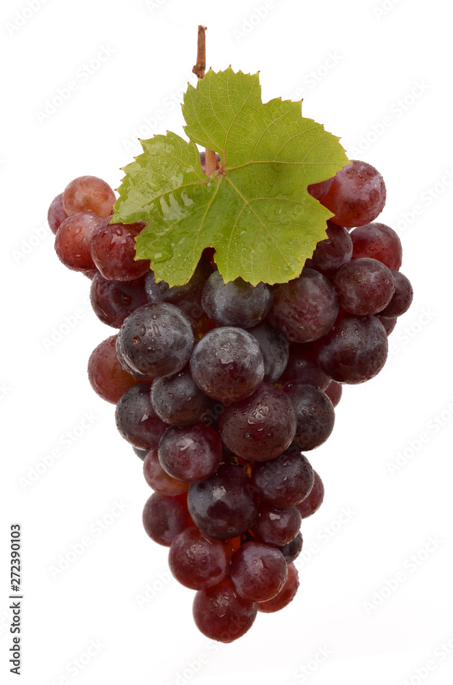 Fototapeta premium Grapes