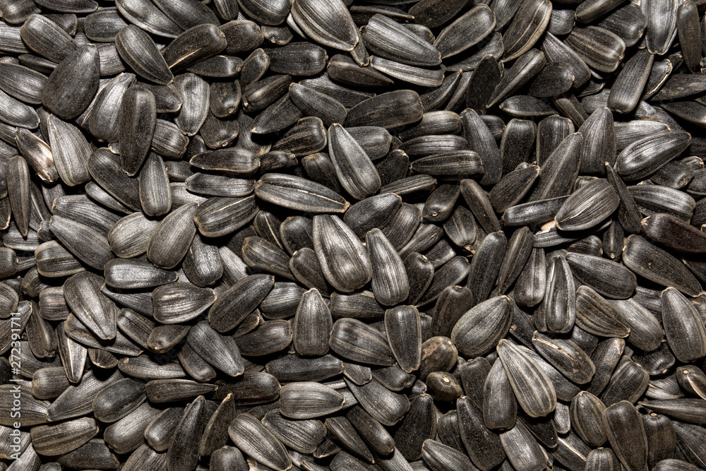 Photo of closeup texture of black sunflower seeds, background Photo of closeup texture of black sunflower seeds, background