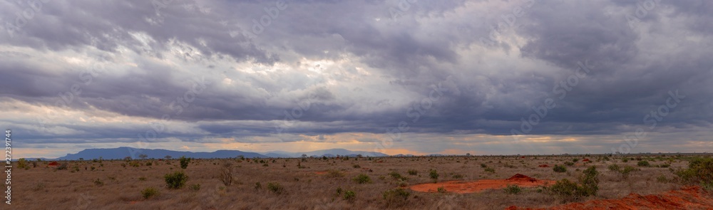 Panoramic of Tsavo East National Park, Kenya Panoramic of Tsavo East National Park, Kenya