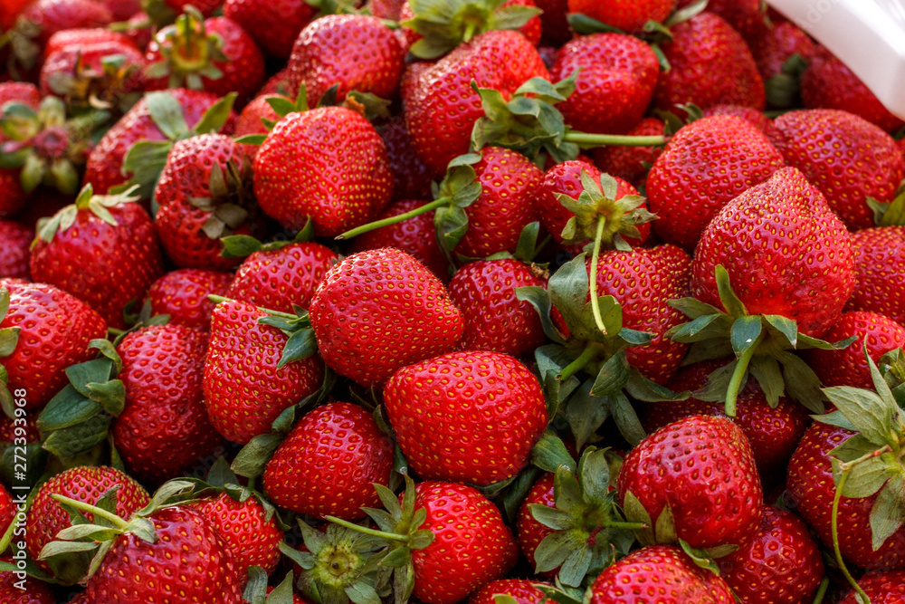 Red fresh ripe strawberries with green leaves Red fresh ripe strawberries with green leaves