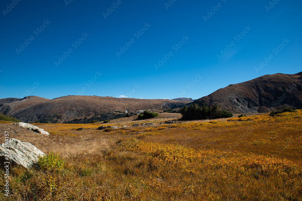 Great Landscape in Colorado USA