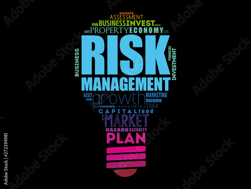 Risk Management light bulb word cloud collage, business concept background
