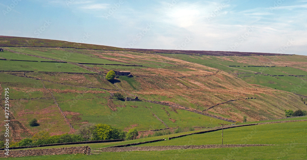 a panoramic view of green grass meadows surrounded by stone walls and surrounded by high moorland and ruined farmhouses in bright summer sunlight in the yorkshire dales countryside
