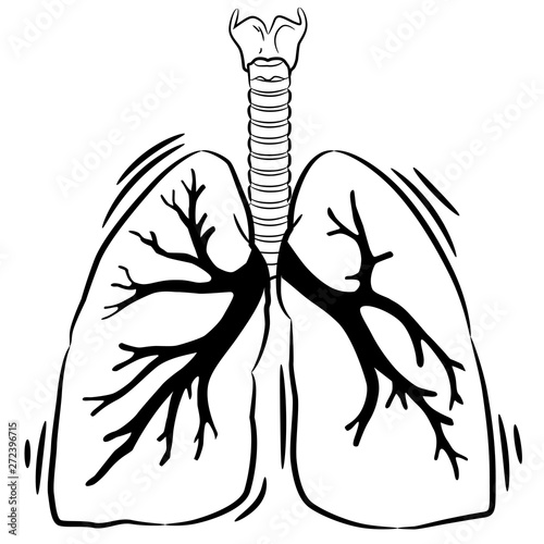 lung vector graphic design