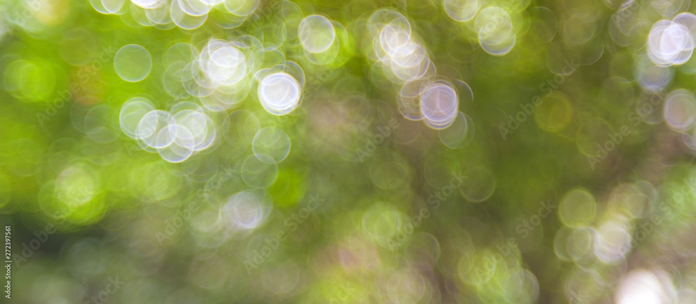 Obraz premium Defocused abstract nature background with green leaves and bokeh lights.&nbsp;Royalty high-quality free stock image of natural blurred bokeh background from leaf and tree