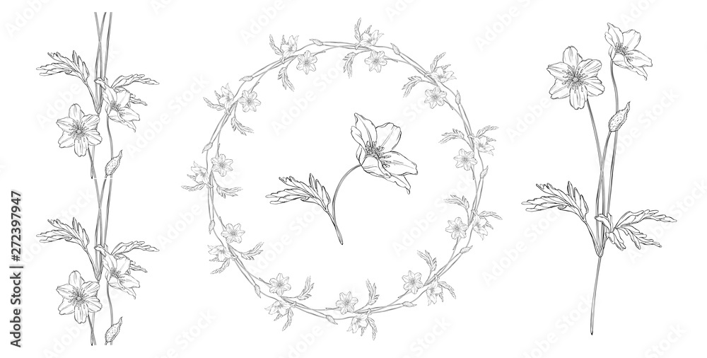 vector set of floral floral patterns vector set of floral floral patterns
