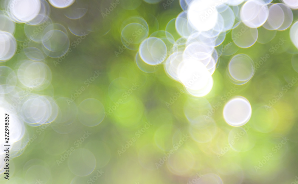 Obraz premium Natural green blurred background. Abstract background with bokeh defocused lights. Royalty high-quality free stock image of bokeh light from the sun through the leaves with copyspace for text design