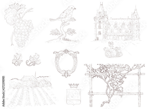 Hand drawn set of wine design elements and labels illustrations. Vintage engraving style.
