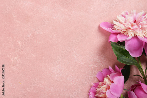 Fototapeta Naklejka Na Ścianę i Meble -  Beautiful pink peony flower blossoms closeup on vintage grunge concrete textured background. Happy International women's mother's valentine's first spring day. Copy space, close up, top view, backdrop