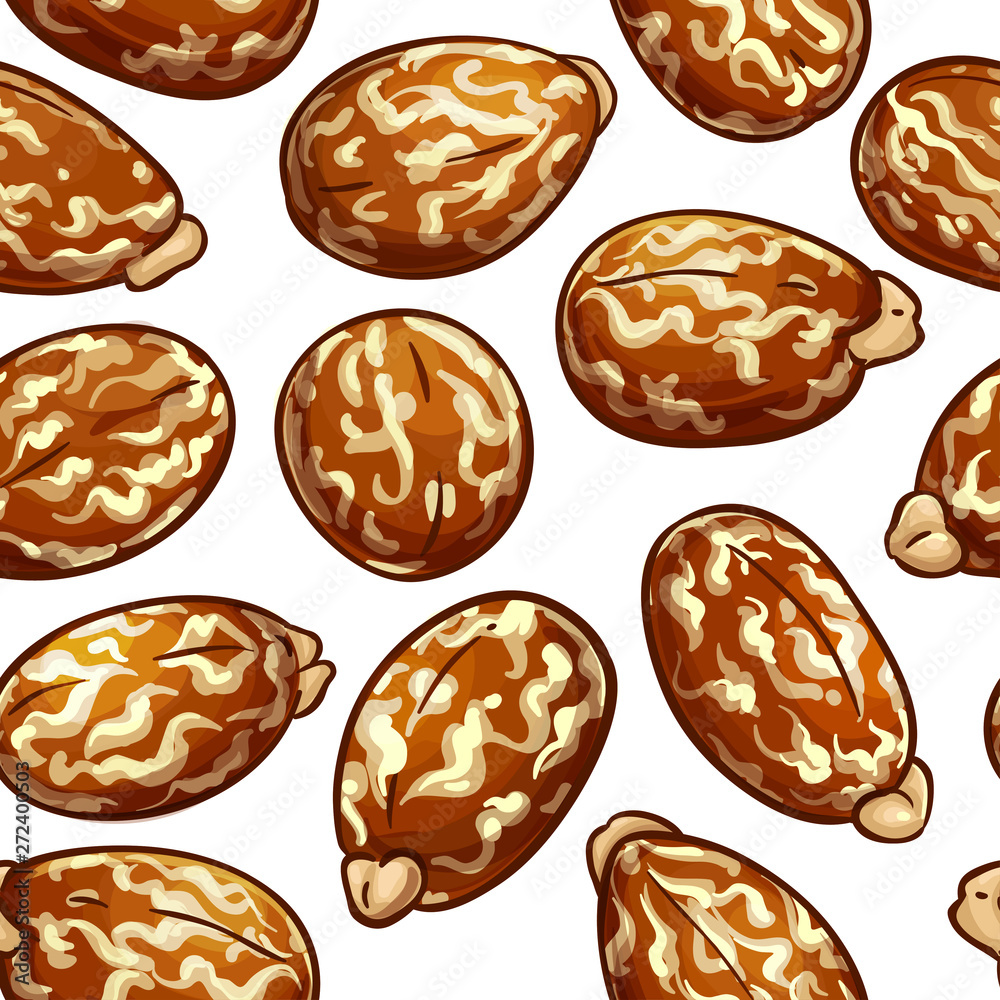 castor vector pattern castor vector pattern