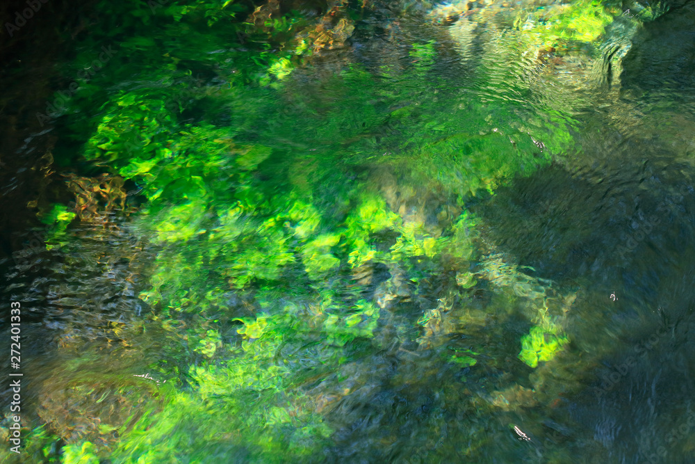 Sous l'eau de la rivière Sous l'eau de la rivière