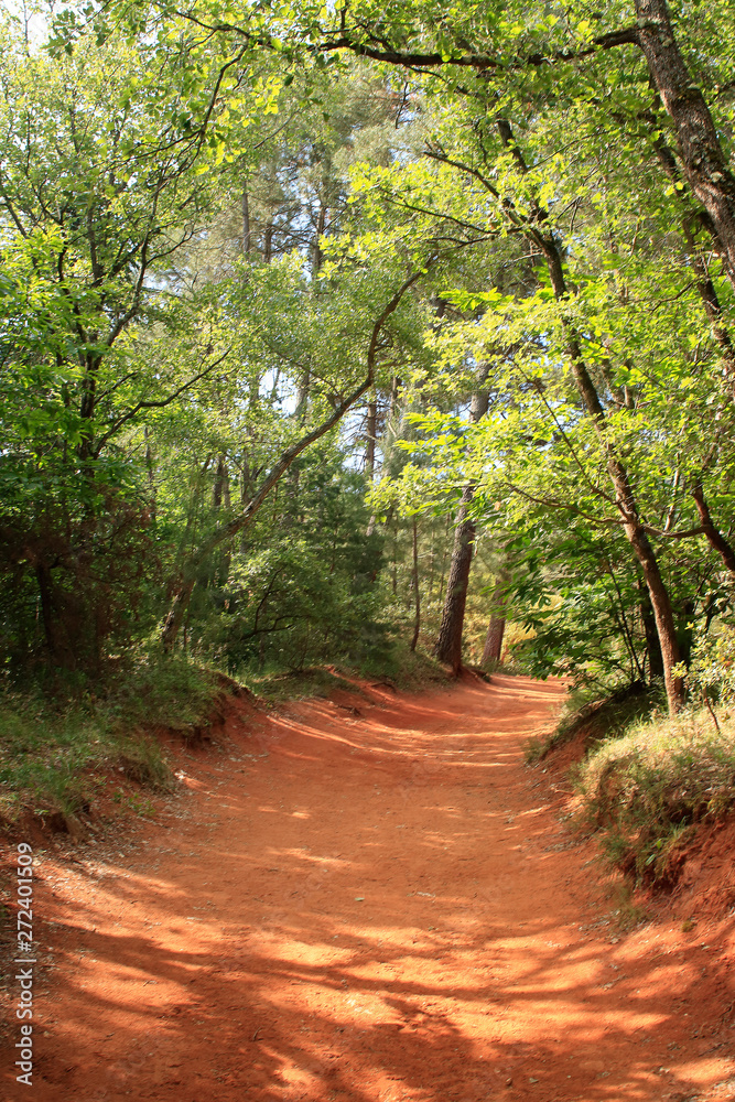 Fototapeta premium Chemin de terre rouge