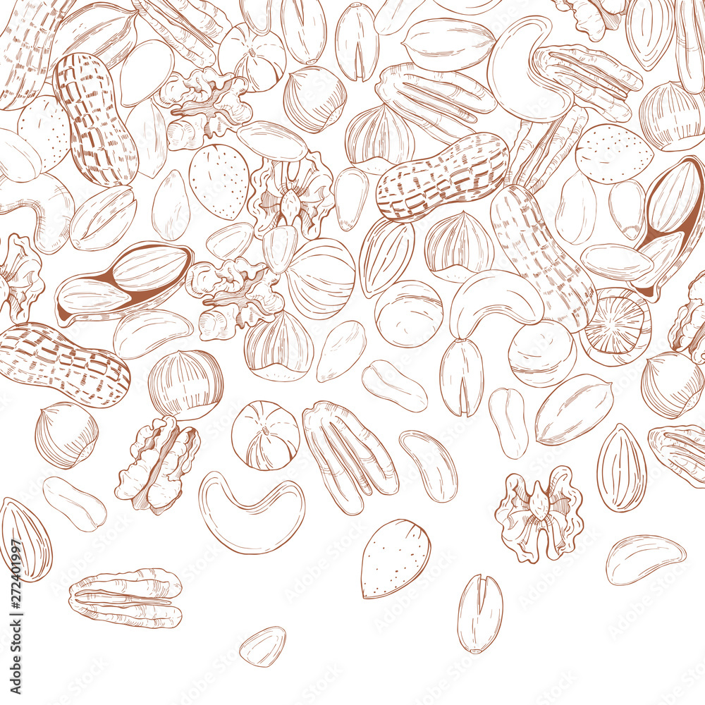 Vector background with hand drawn nuts. Sketch illustration. Vector background with hand drawn nuts. Sketch illustration.