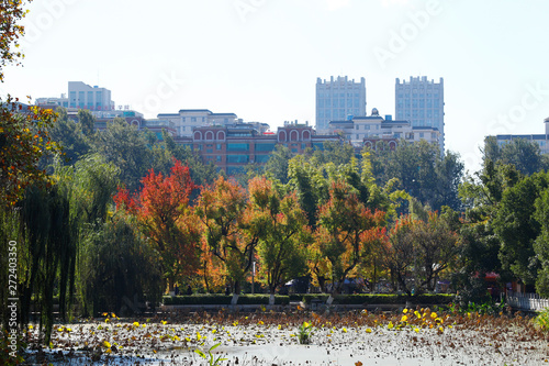 The gardens of downtown Kunming. Yunnan  China - November  2018