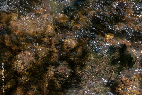 Abstract shallow water top view background  stone bottom underwater