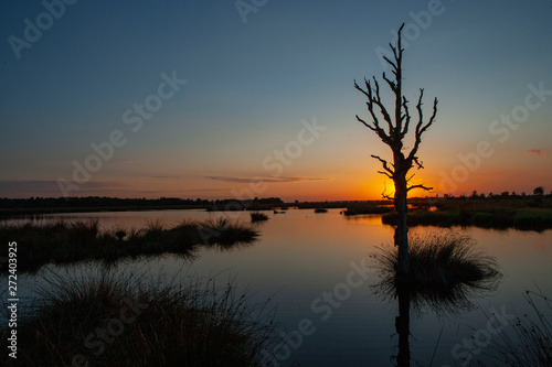Sunset at National Park Dwingelderveld drente Netherlands. Moor and peatfields
