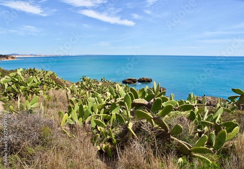 Paradise beach in Albufeira city in Portugal with wonderful nature, dunes and beach