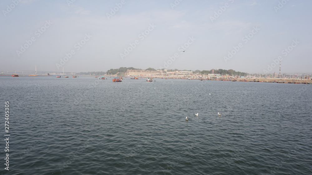 Swiming birds on holy river Ganga at Prayagraj UP India-06