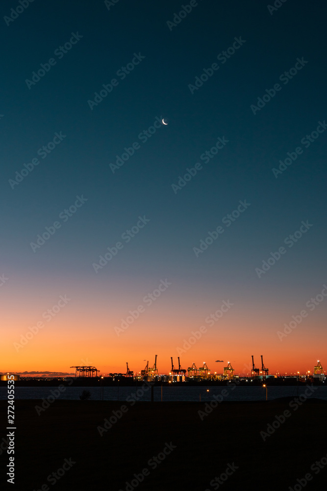 Fototapeta premium Silhouette of cranes under the moonlight at dusk after sunset.