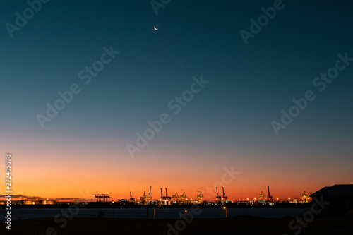 Silhouette of cranes under the moonlight at dusk after sunset.