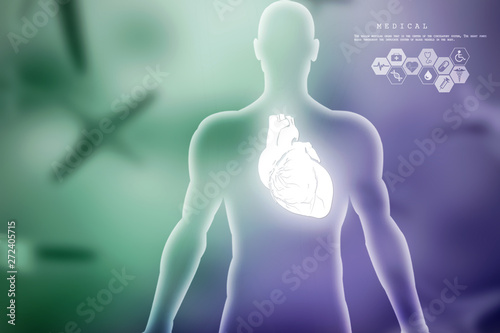 2d illustration  Anatomy of Human Heart 