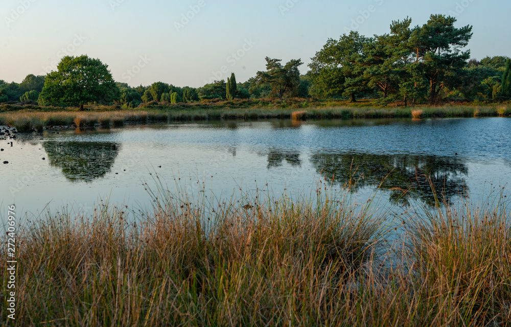 Moor. Peat fields near Beilen drente Netherlands