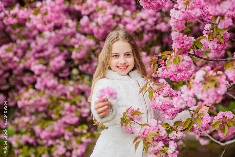Child enjoy life without allergy. Sniffing flowers. Girl enjoying floral aroma. Pollen allergy concept. Kid enjoy cherry blossom sakura. Kid on pink flowers sakura tree background. Allergy remedy Child enjoy life without allergy. Sniffing flowers. Girl enjoying floral aroma. Pollen allergy concept. Kid enjoy cherry blossom sakura. Kid on pink flowers sakura tree background. Allergy remedy
