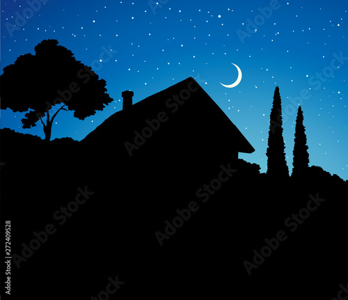 Vector drawing. House