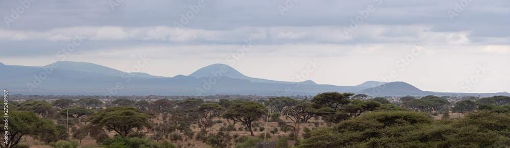 Amboseli National Park Panoramic, Kenya