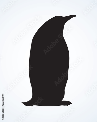 Penguin. Vector drawing