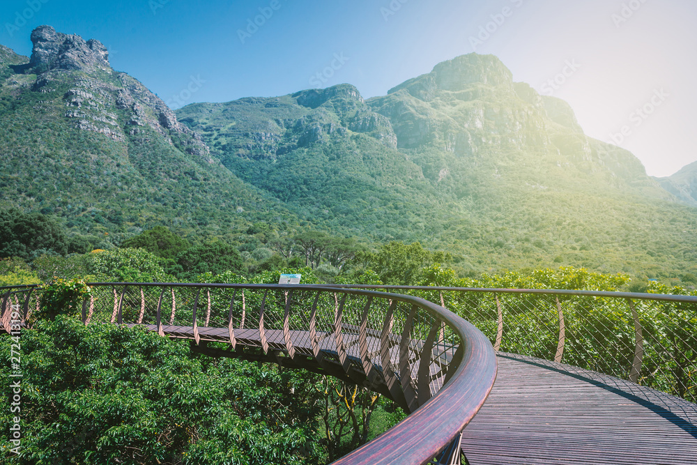 Elevated wooden walkway with a view in botanical garden in South Africa Elevated wooden walkway with a view in botanical garden in South Africa