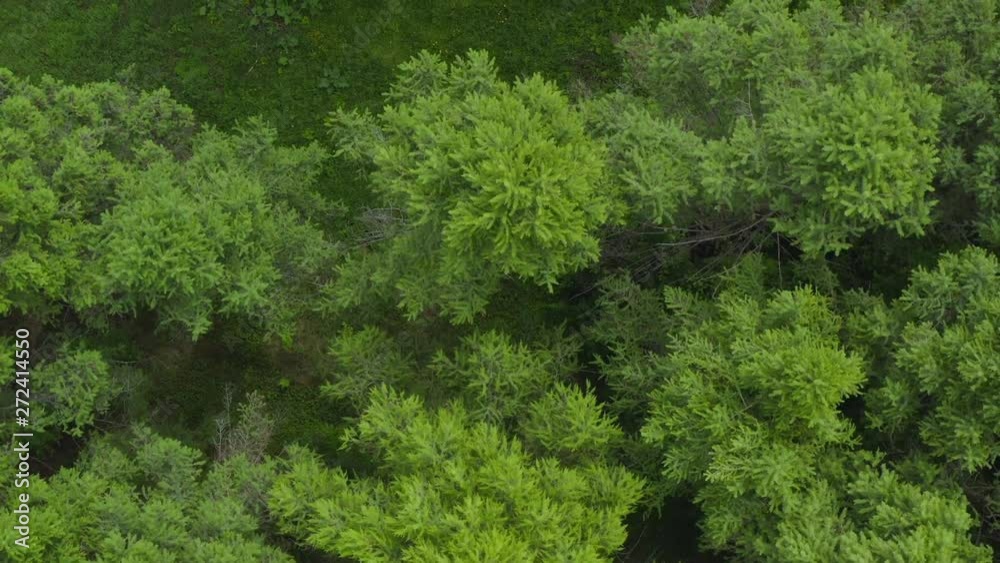 4K aerial of flying over a beautiful green forest in a rural landscape. 4K aerial of flying over a beautiful green forest in a rural landscape.