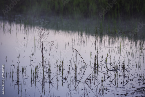 Surface of the lake.