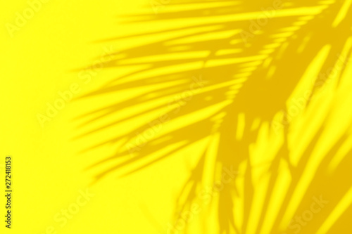 Shadow silhouette of beautiful feathery palm leaf in sunlight on bright sunny yellow color wall background. Summer tropical vacation creative concept. Urban jungle relaxation tranquility