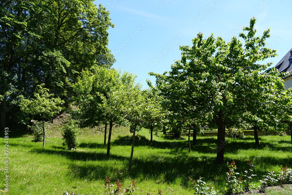 Obraz premium Ostdeutschland 