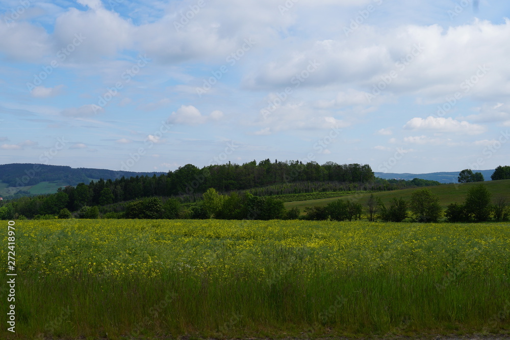Fototapeta premium Ostdeutschland 