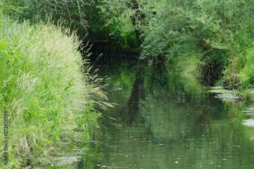 Ruhige, grüne Flusslandschaft