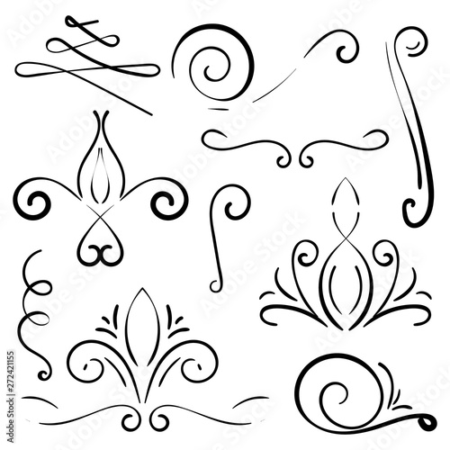 Doodle set of curls border text dividers. Hand drawn abstract text dividers, wedding decor design elements. Hand-drawn with ink and brush vector illustration