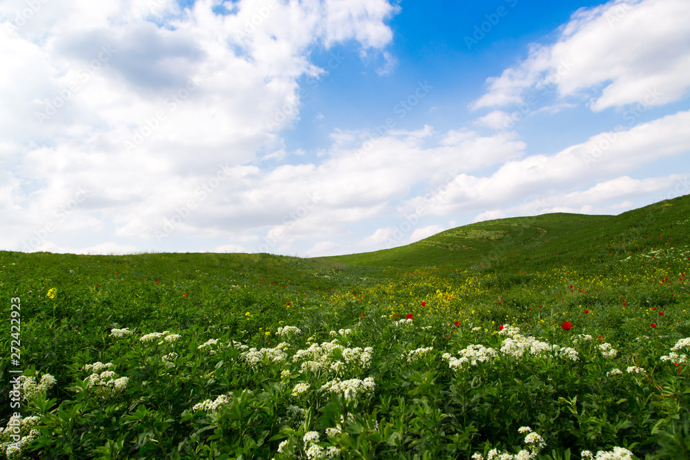 Beautiful spring and summer landscape. Mountain country road among green hills. Bright green grass. Beautiful spring and summer landscape. Mountain country road among green hills. Bright green grass.